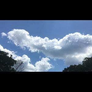 Meet your Posher, Stuart